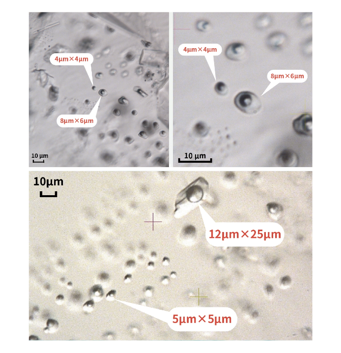 包裹体元素含量测试