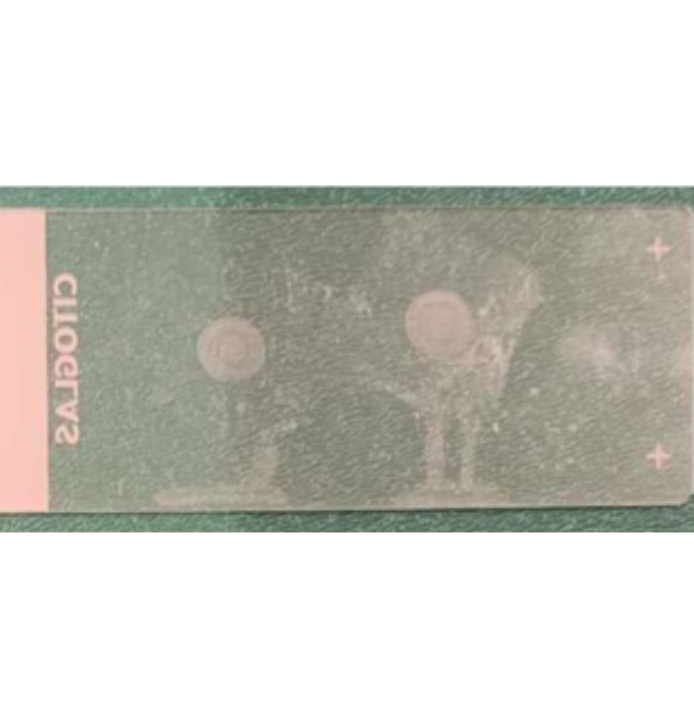 植物组织元素成像